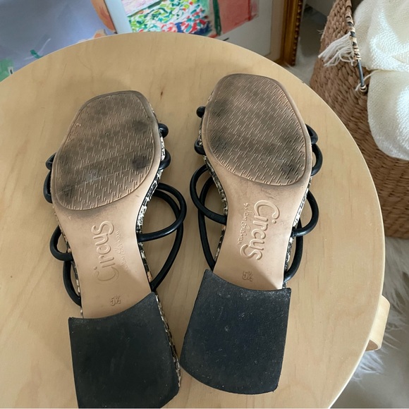 CIRCUS BY SAM EDELMAN Jay Womens Black & Snake Print Sandals - Picture 6 of 6